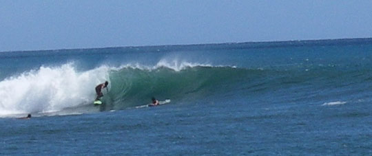 Ala Moana Bowls