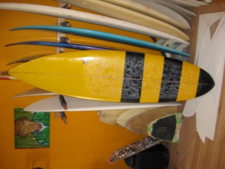 6 4 bumble bee image 1
