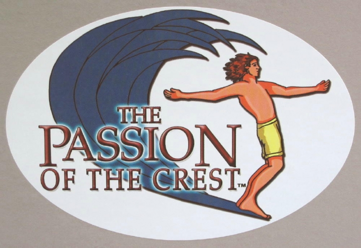 HOT NEW SURF DECAL for soul surfers image 1