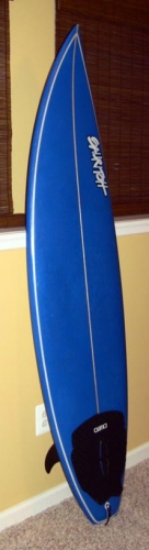 Sauritch Surfboard image 3