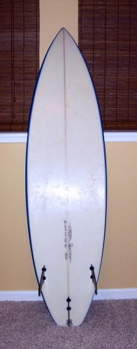 Sauritch Surfboard image 3