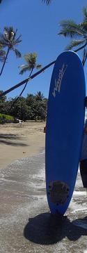 8 ft Surf board 50$ or changing for Hawaiian instrument image 1