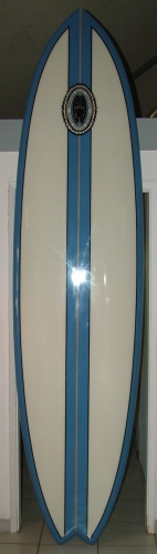 10'1 HSD SUP image 1