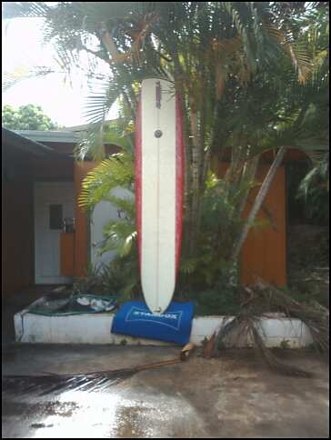 Russell 9'4" Longboard w/ leash, sock, extra fins image 1