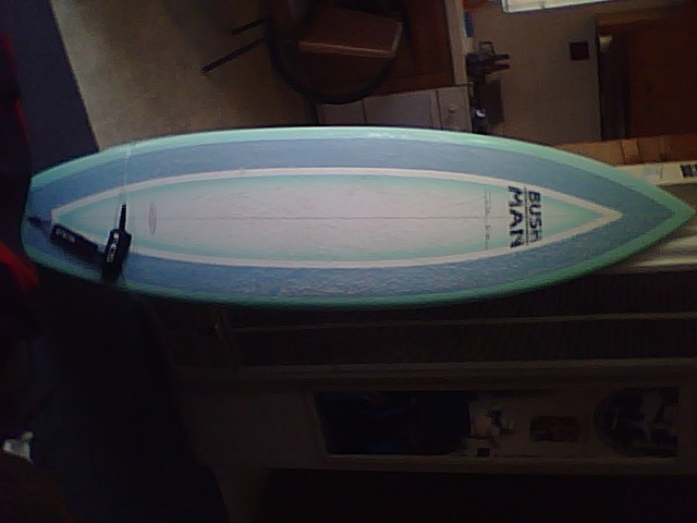 6' 3" BUSHMAN FUN/FISH  image 1